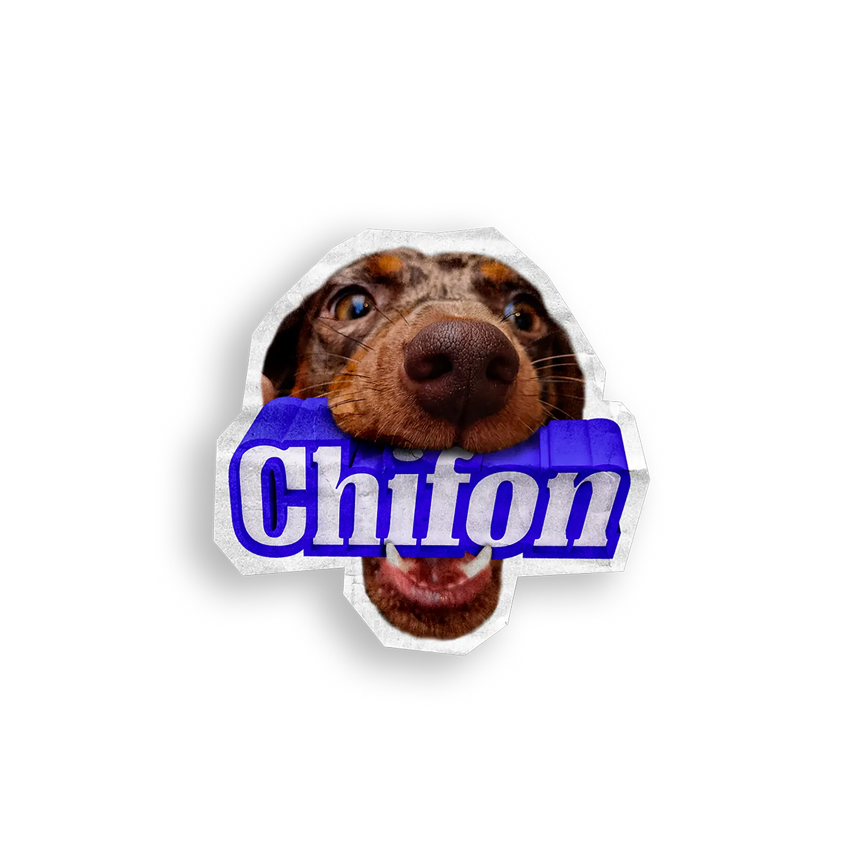 Logo Chifon
